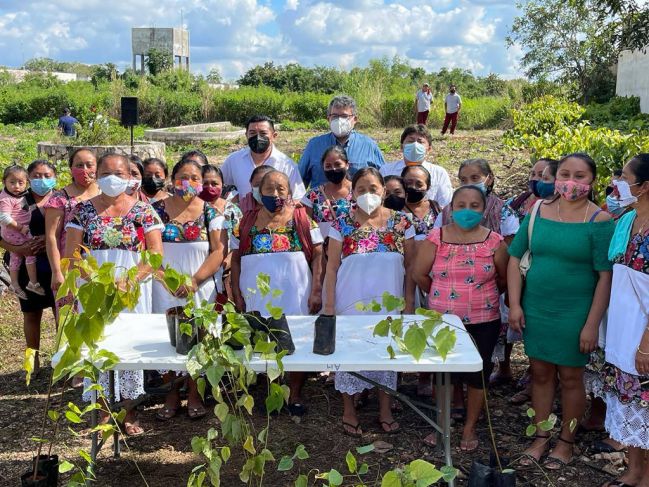 Impulsan el cultivo del achiote en Yucatán
